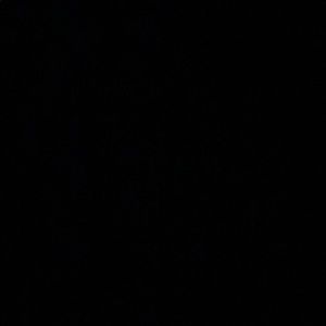 Meet your Posher, Elvin